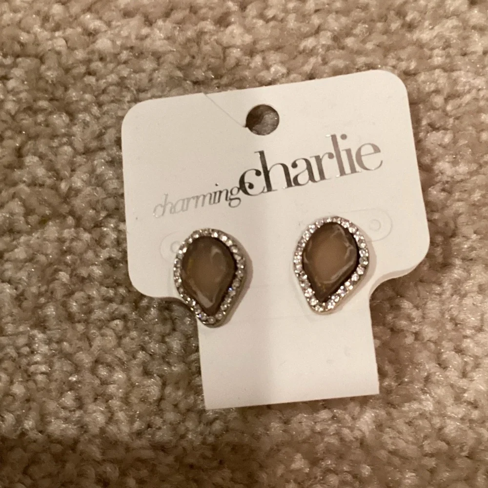 Charming Charlie Earthy Tones Necklace - Picture 5 of 6